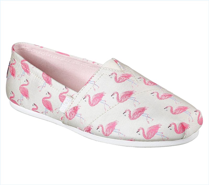  Women Bobs Plush - Flamingo Fest Natural